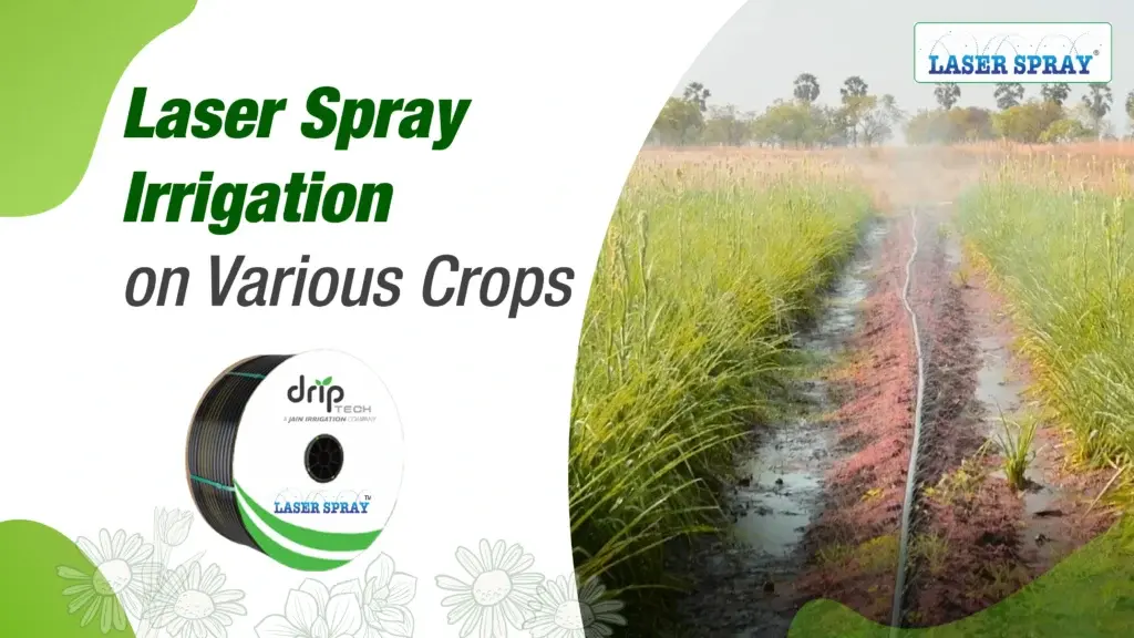 Laser Spray running in the field