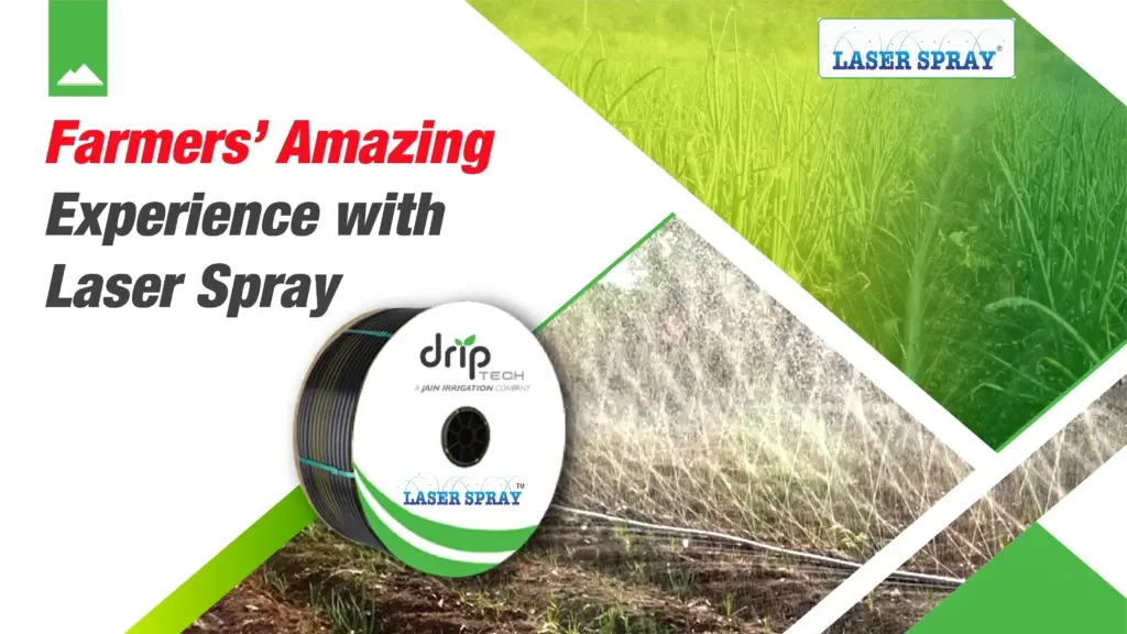 Farmers' experience with Laser Spray
