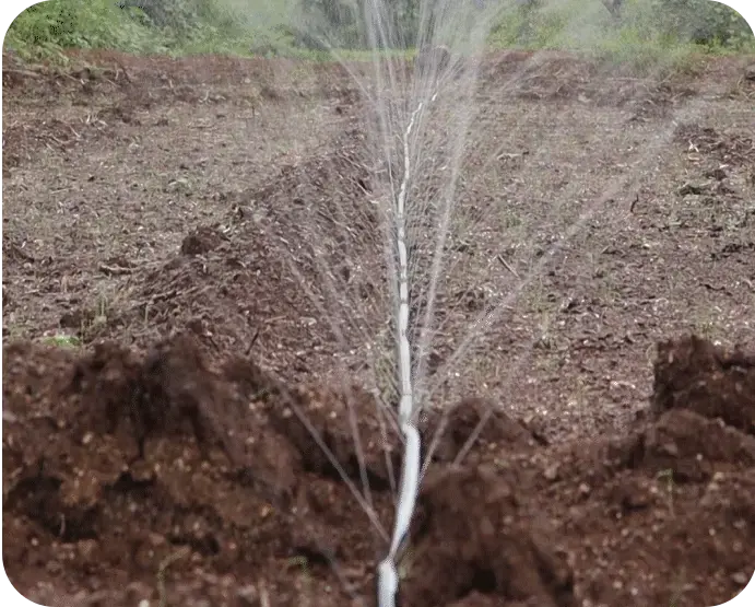Spray rain pattern