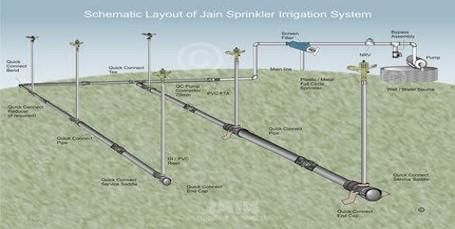 Schematic sprinkler irrigation layout
