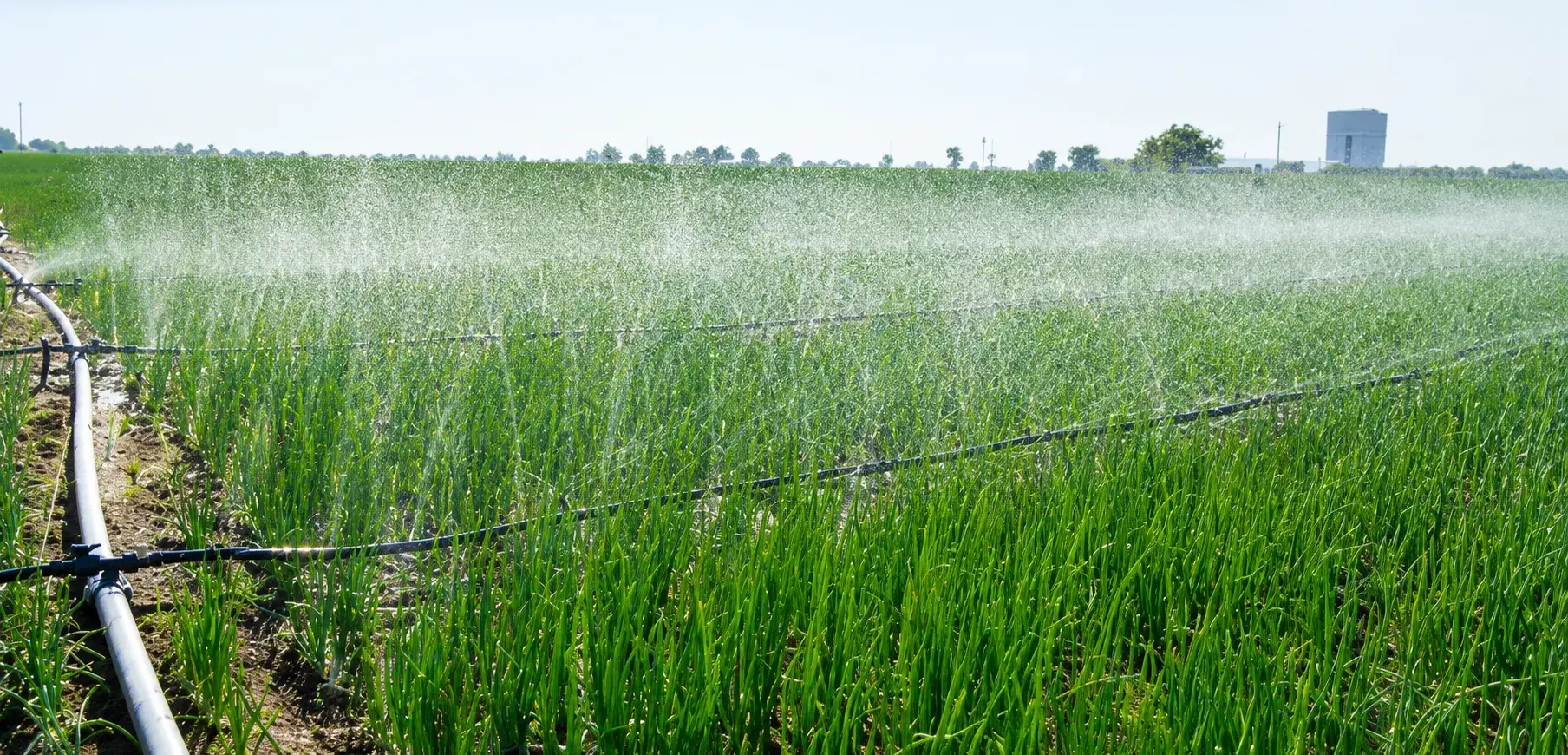 Rain pipe in field